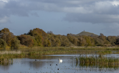 Glastonbury Tor Landscape