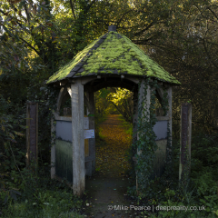 Gateway to a different place