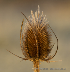 20251126_Mike-Pearce_Ham-Wall__M_01273-Edit