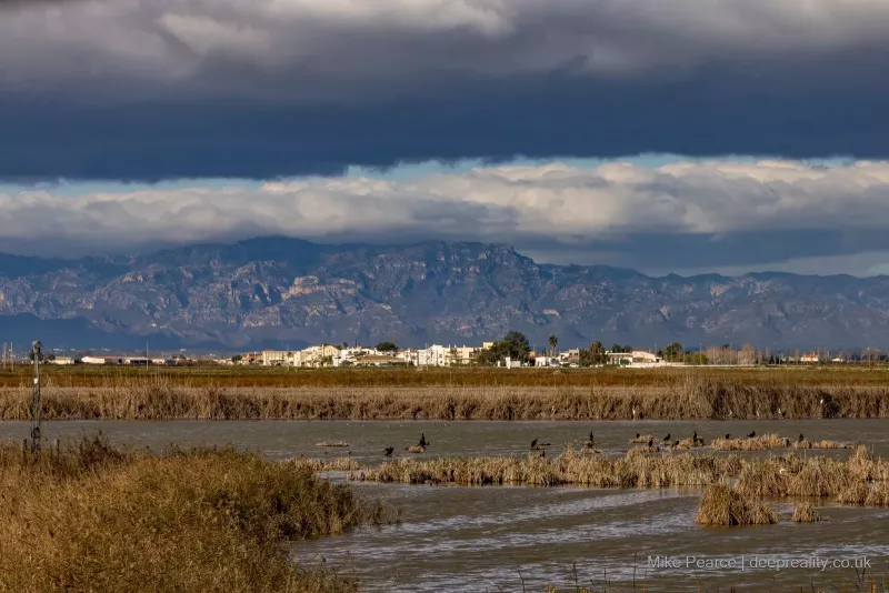 Ebro Delta