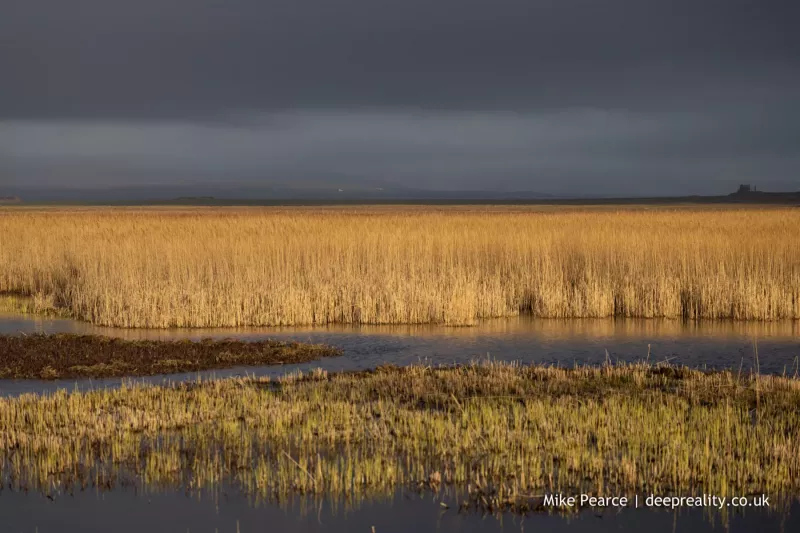 Sun and clouds at RSPB The Loons