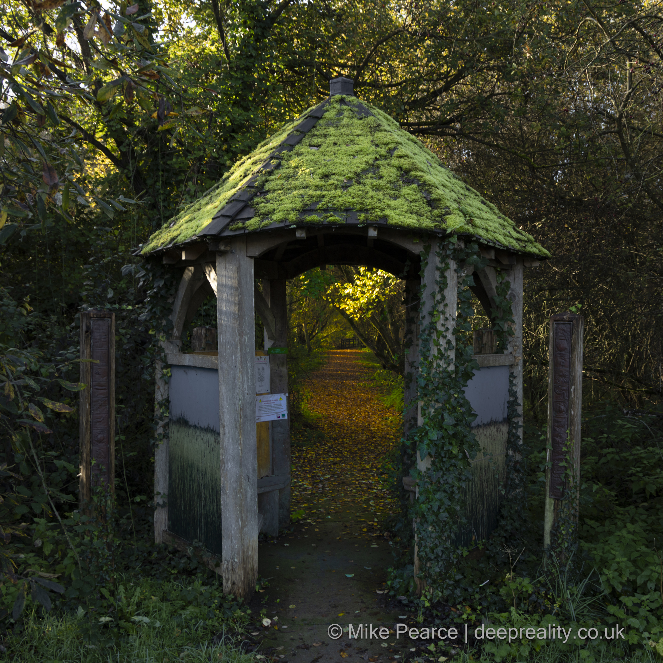 Gateway to a different place