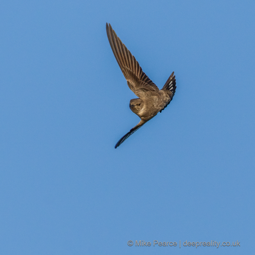 Crag Martin